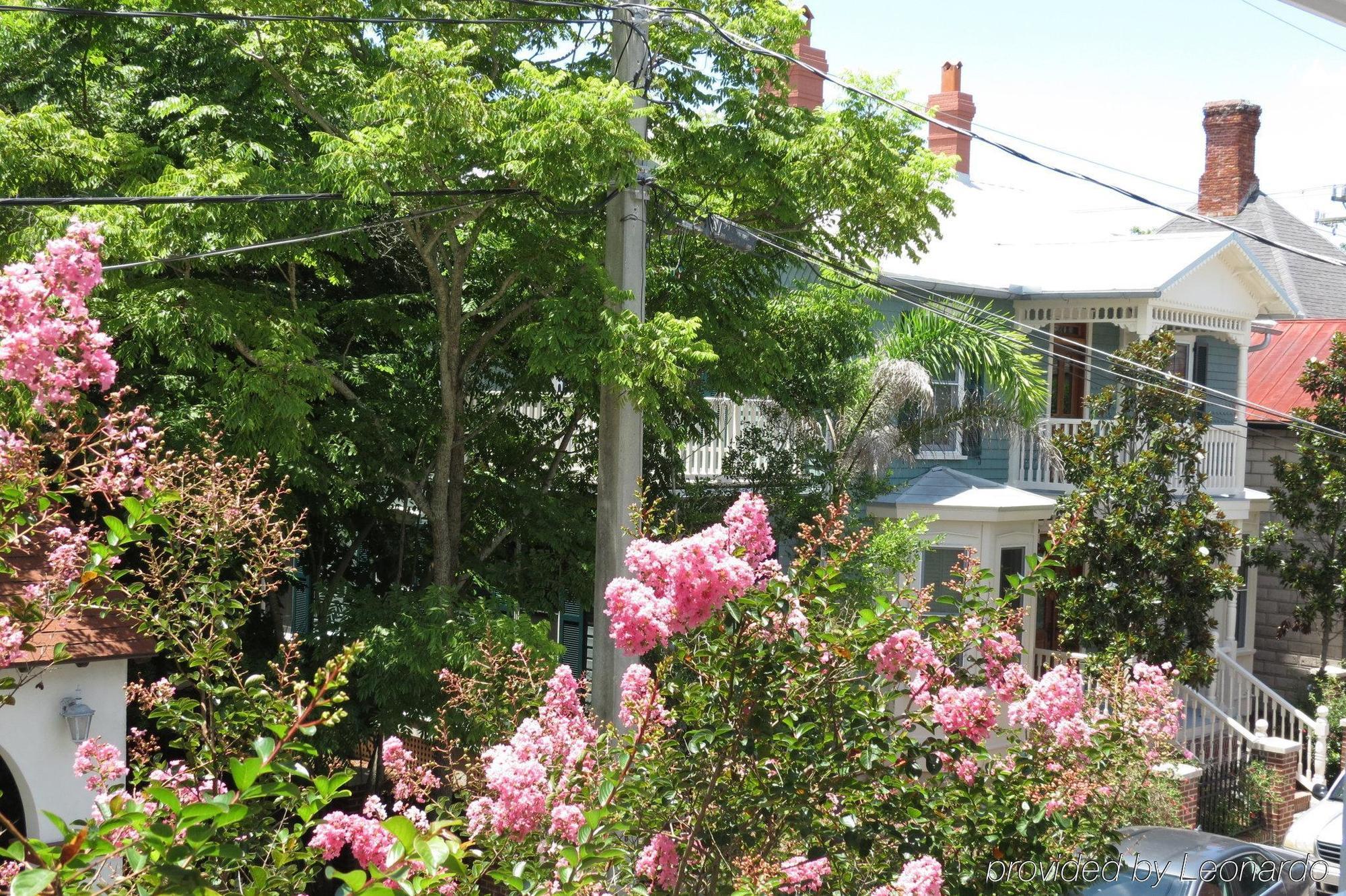 Bayfront Westcott House Bed & Breakfast St. Augustine Exteriör bild