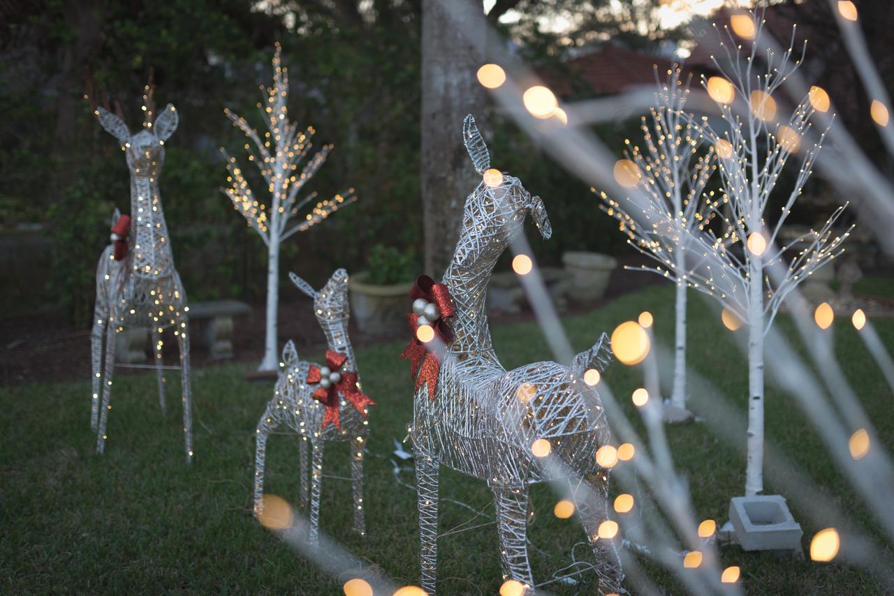 Bayfront Westcott House Bed & Breakfast St. Augustine Exteriör bild